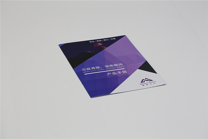 盟维 芯片